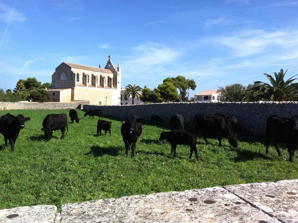 Llucmacanes Gran Agroturismo Маон Екстер'єр фото